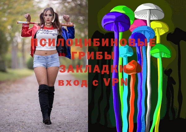 дживик Алзамай