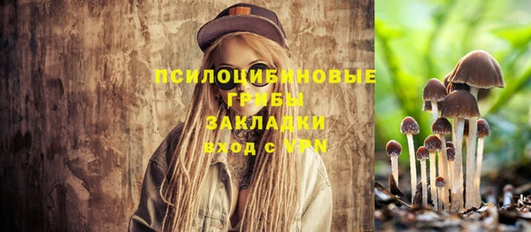 прущие грибы Алексеевка