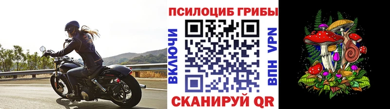 Галлюциногенные грибы мухоморы  цена   Жердевка 